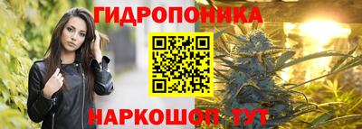 стаф Балаково