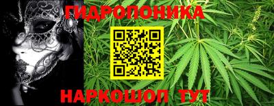 стаф Балаково