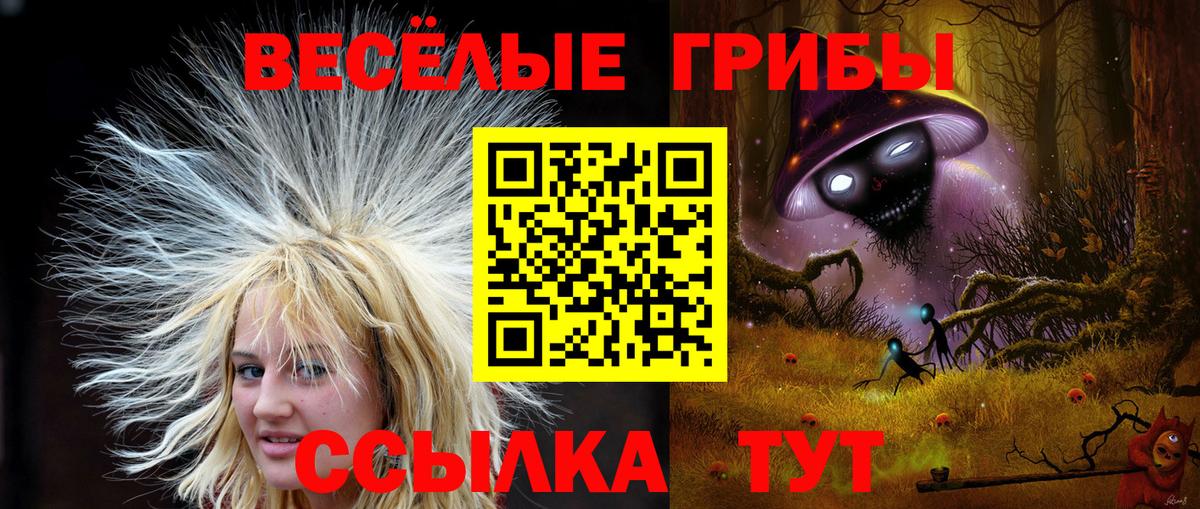 Псилоцибиновые грибы Magic Shrooms Грозный